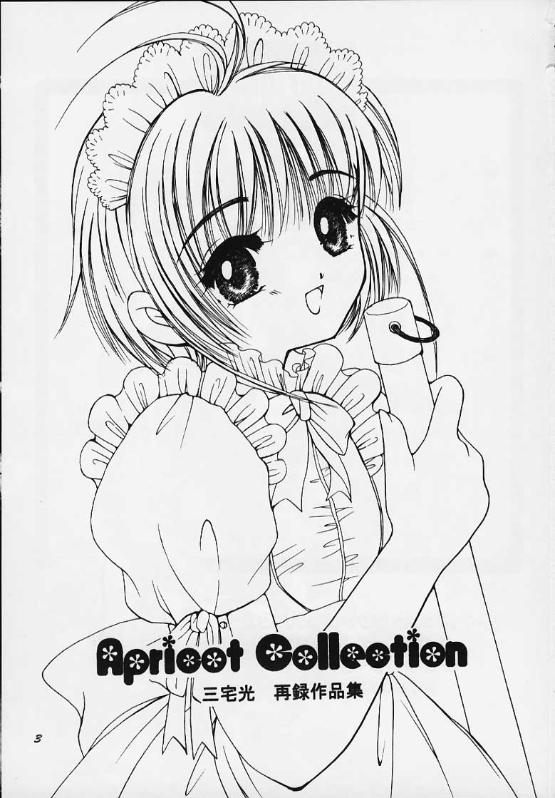 (C58) [APRICOT PIE (三宅光)] Apricot Collection (カードキャプターさくら)
