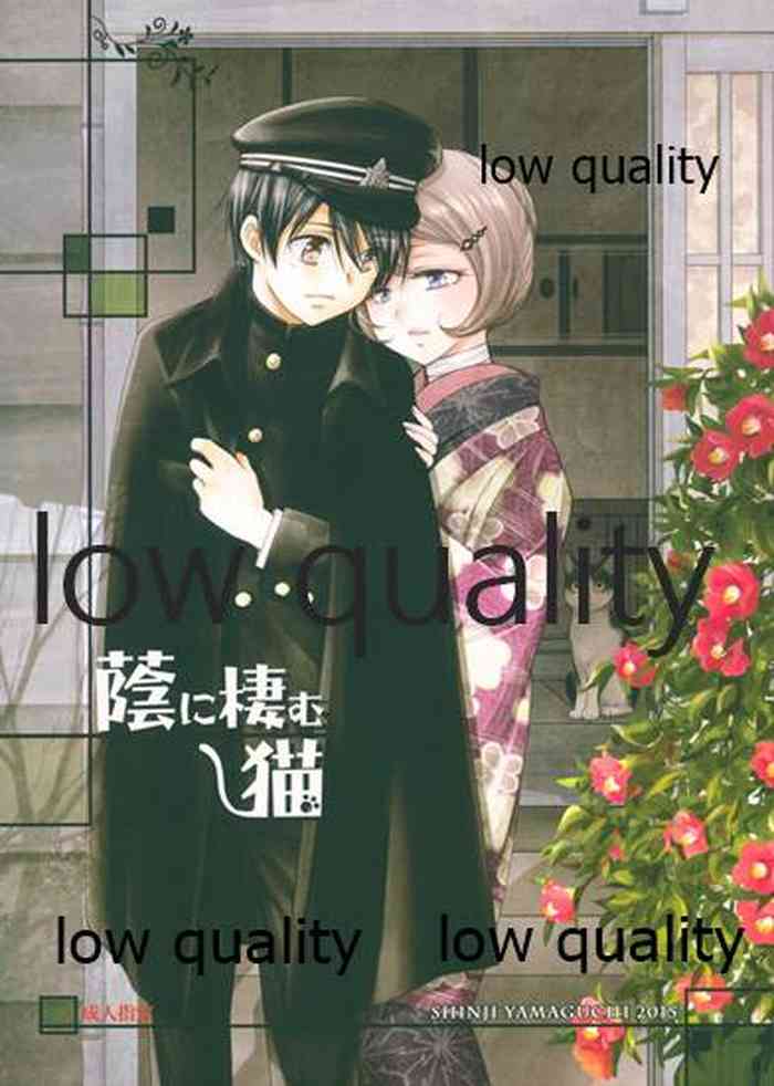 (コミティア113) [やまぐち楼 (ヤマグチシンジ)] 蔭に棲む猫