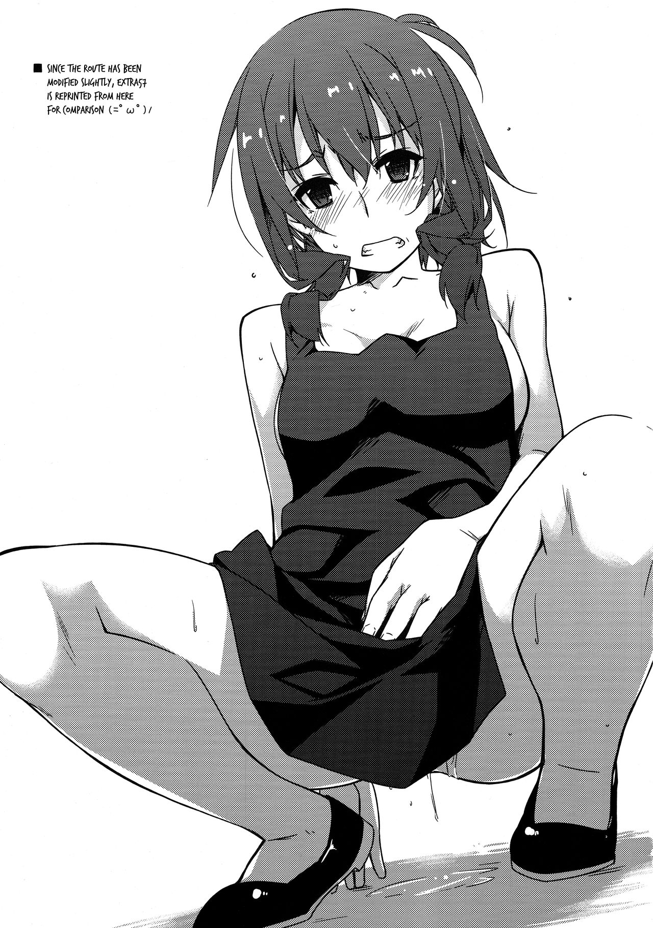 (コミティア128) [行脚堂 (しけー)] 弄花4 [英訳]