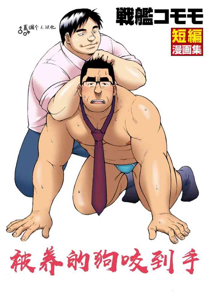 [戦艦コモモ] 飼い犬が手を噛むので[中国翻訳] [DL版]