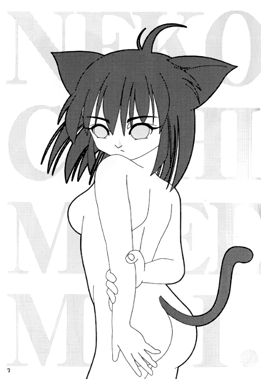 ねこちみみ