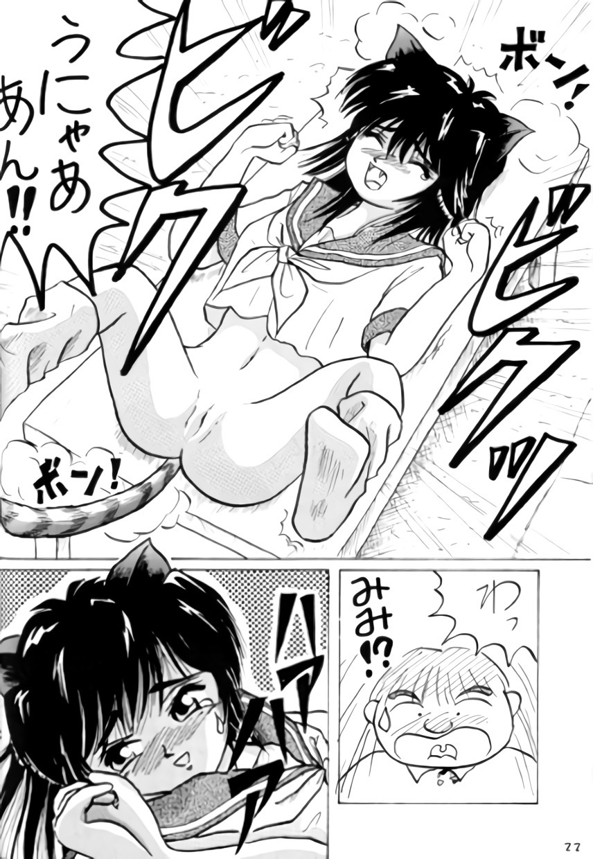 ねこちみみ