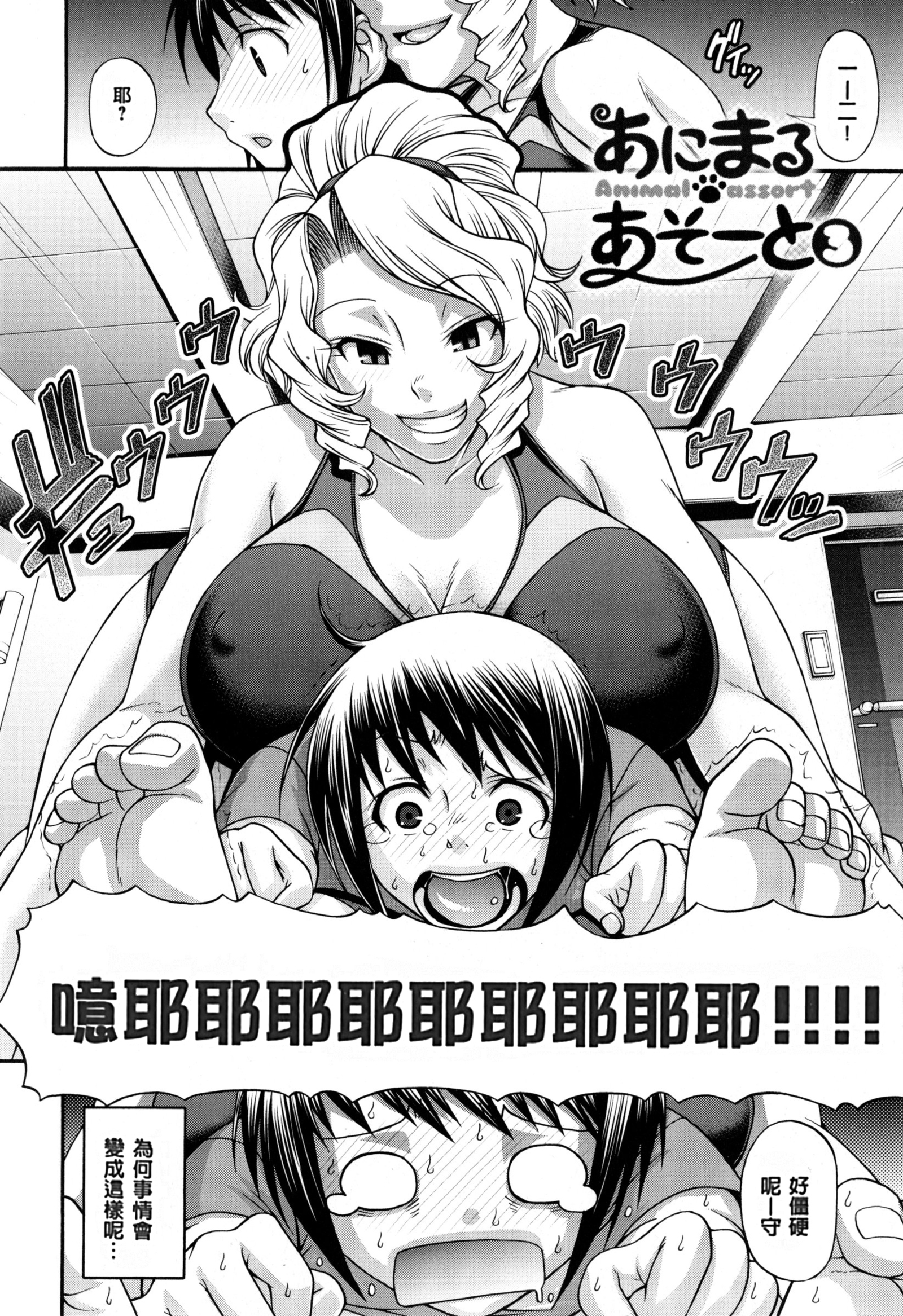 動物の品揃え|盗女盗獸齊然一堂