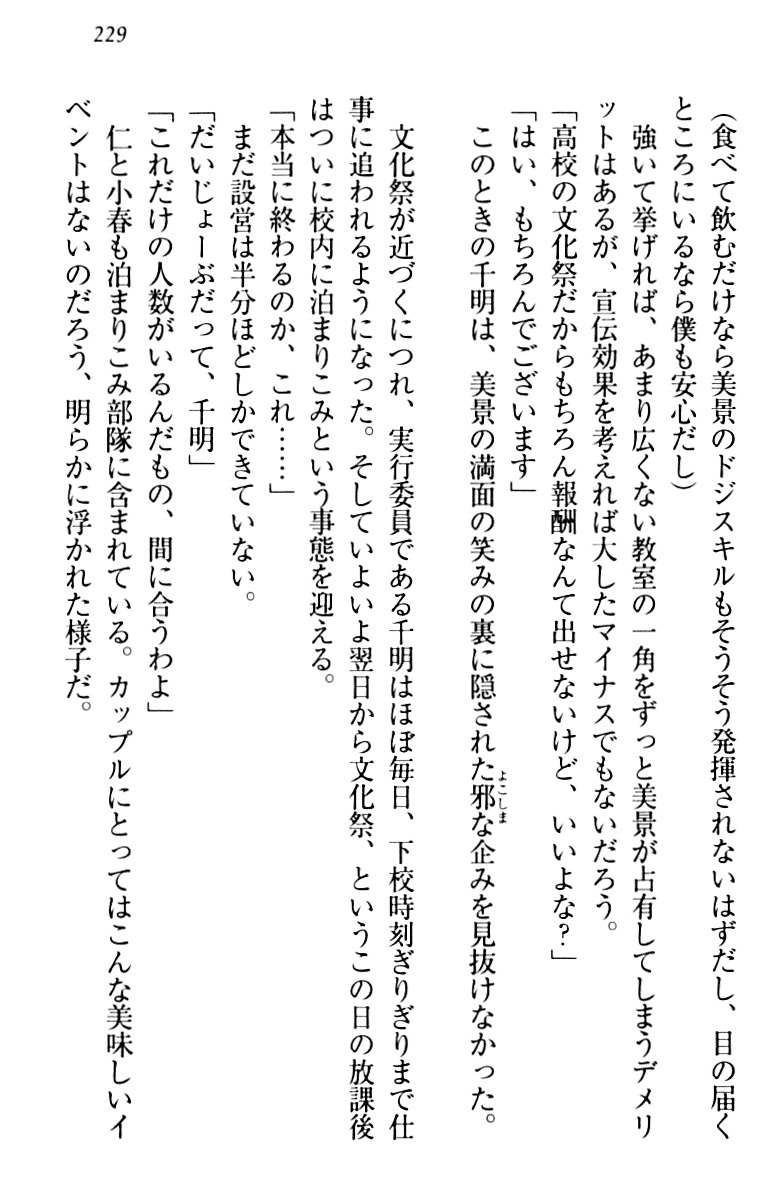 年上メイドの新婚日記