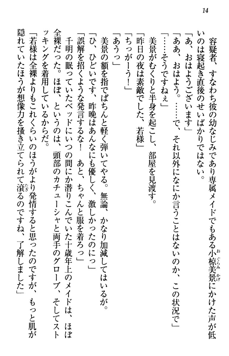 年上メイドの新婚日記