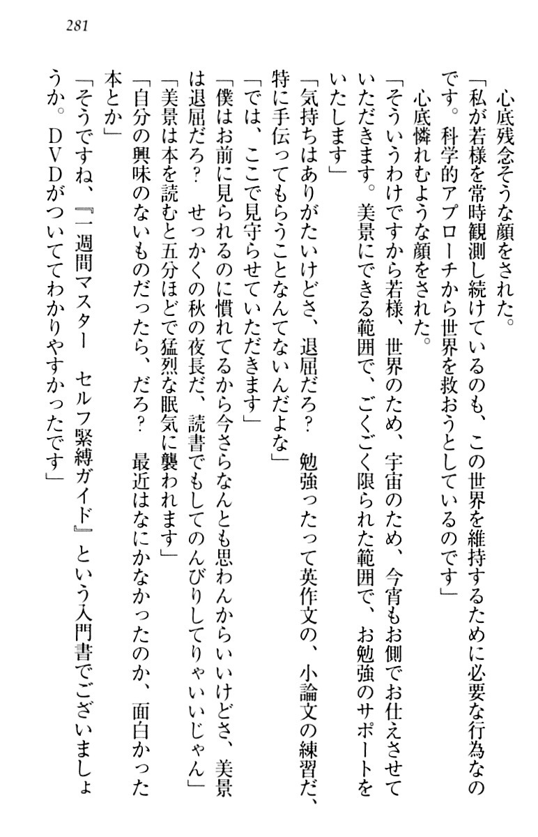 年上メイドの新婚日記