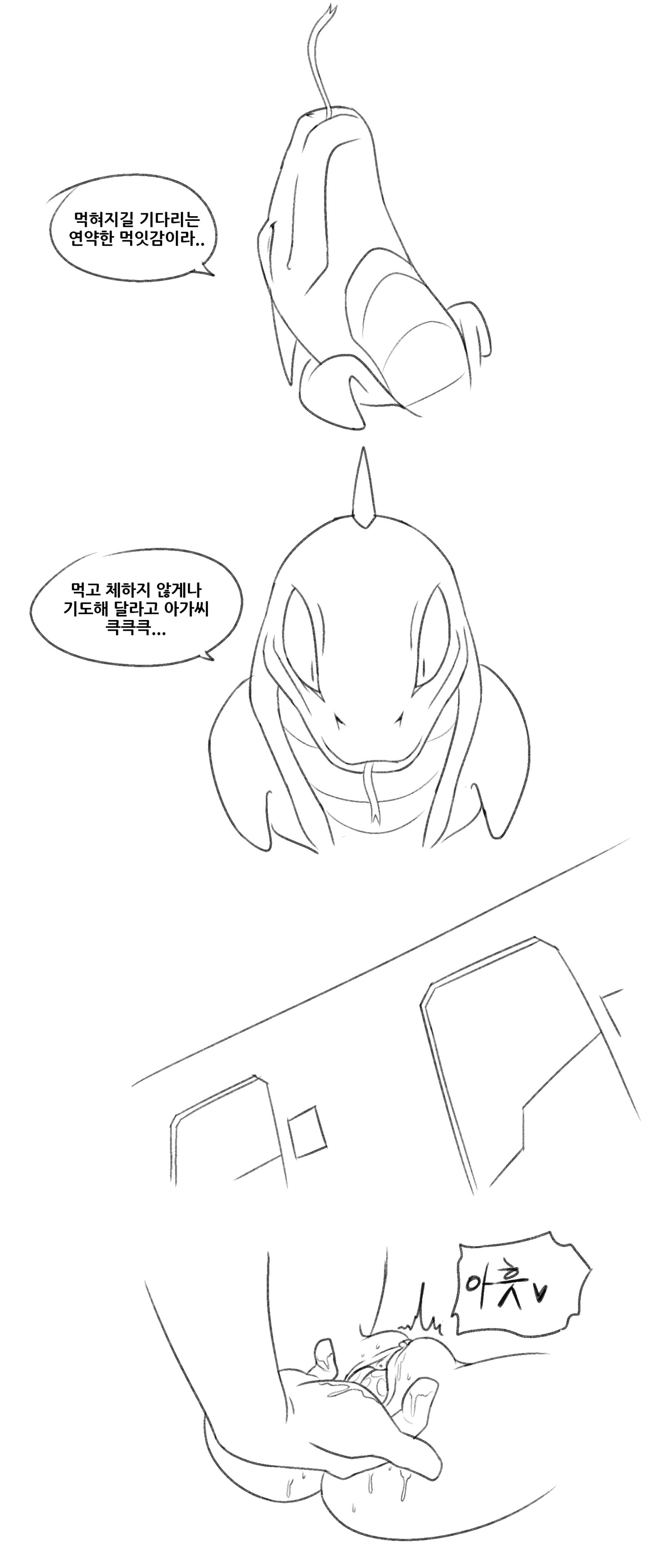 バニーホール