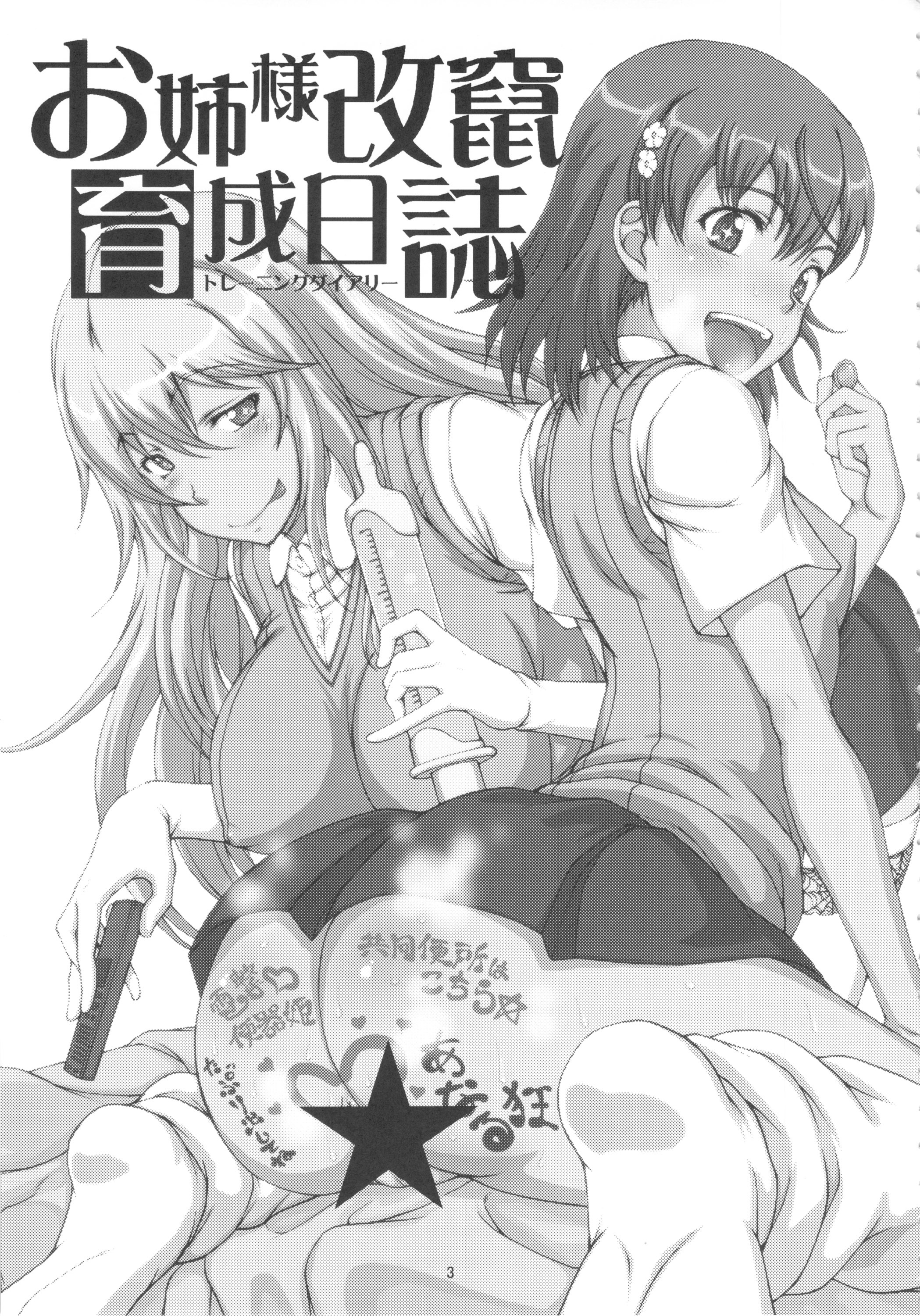 お姉様改竄育成日誌