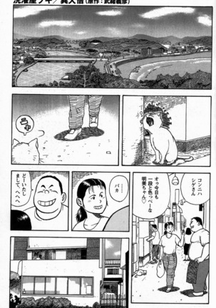 センタクヤブギ