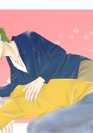 猫のしつけかた 猫のしつけかた