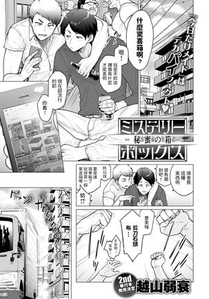 ミステリーボックス-秘密の箱- ミステリーボックス-秘密の箱-
