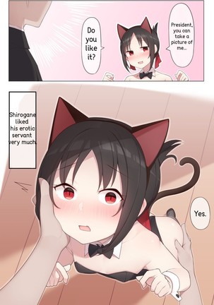 猫耳のかぐや様 猫耳のかぐや様