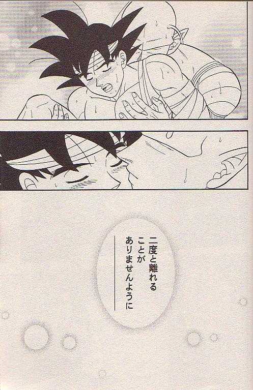 星にねがいお 星にねがいお