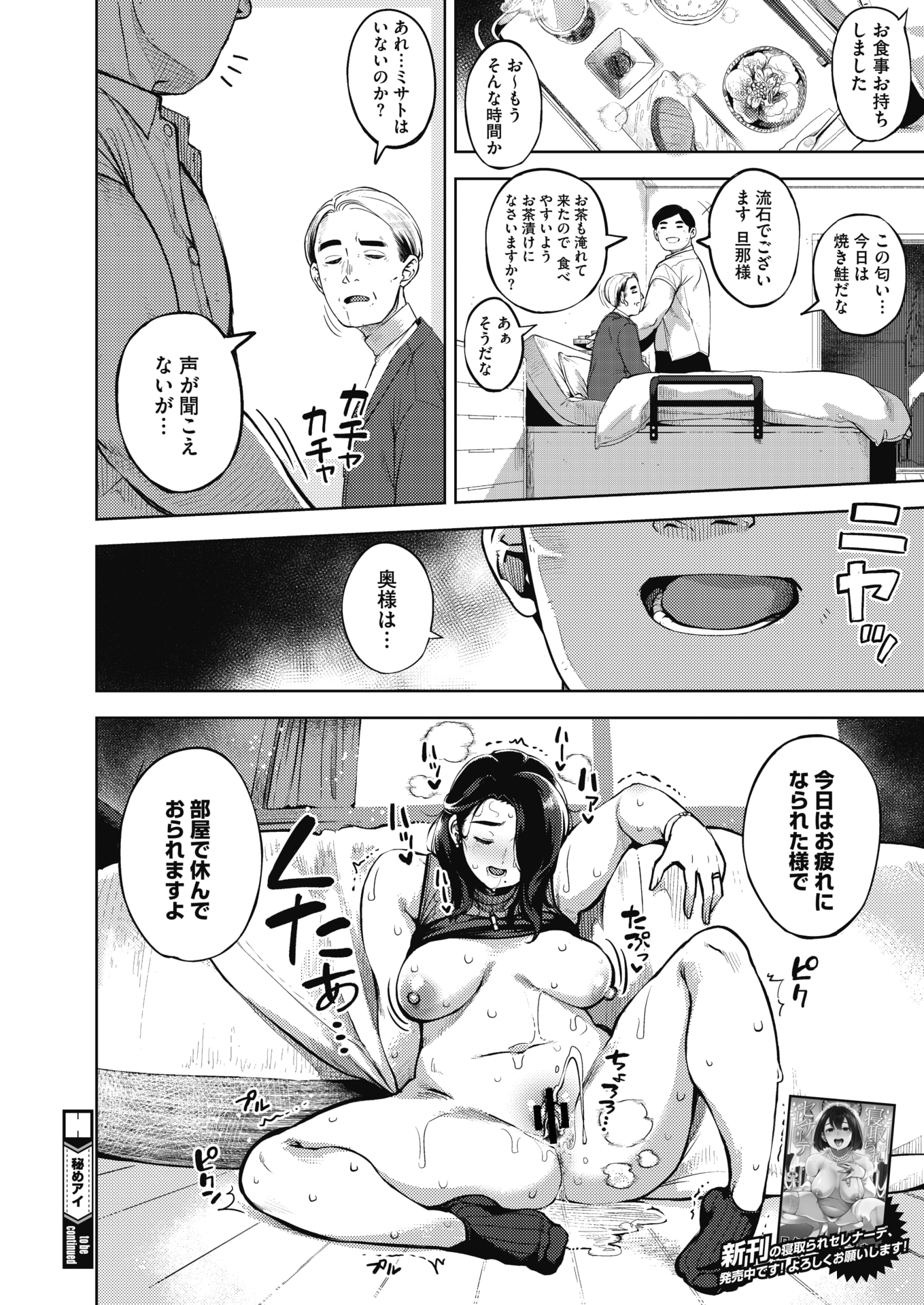 HIMEAI CH1-3