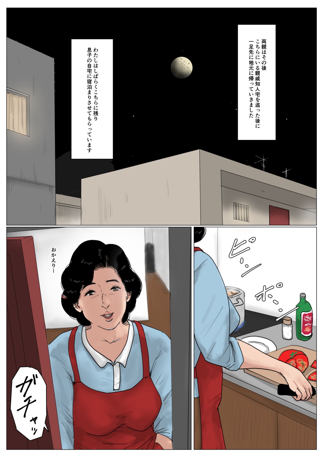 母に恋して 特別編2 ー都会の息子をたずねてー