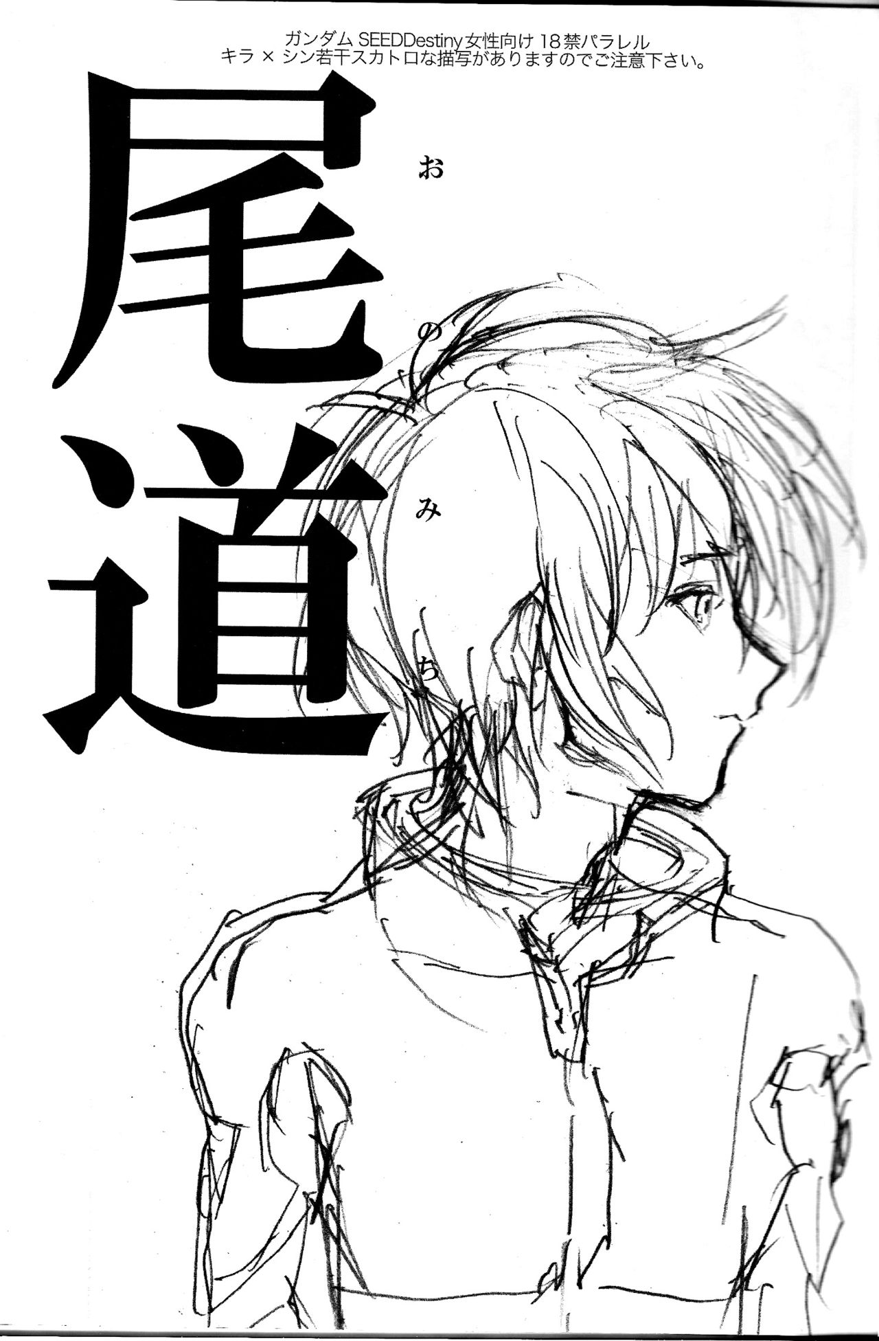 (SPARK3) [NEO-de (夏坂)] 尾道 (機動戦士ガンダムSEED DESTINY) [中国翻訳]