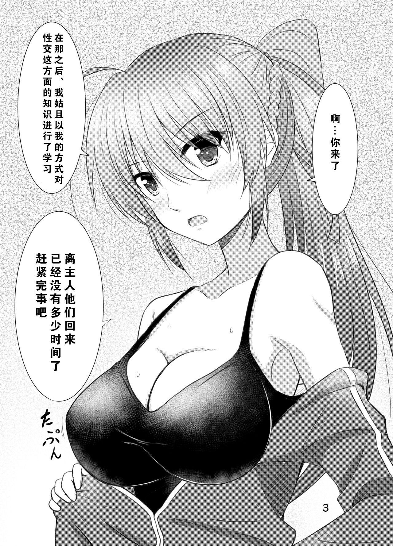 [うぱ小屋 (えんどり)] シグナムお姉さんがあなたくんに教えるセックスのてほどき (魔法少女リリカルなのは) [中国翻訳] [DL版]