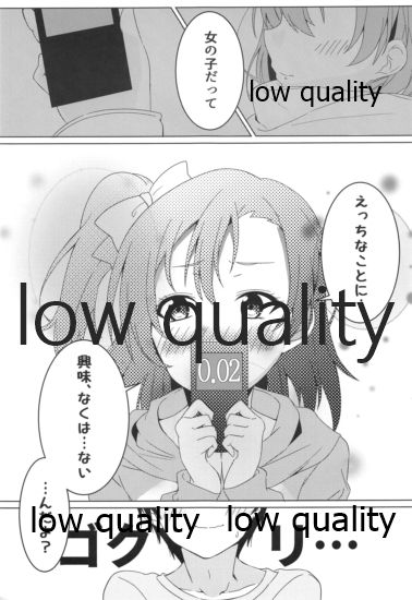 (C95) [おとうふパン。 (なつめゆき)] 伝える想いは穂乃果色 (ラブライブ!)