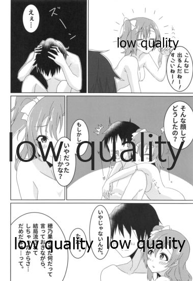 (C95) [おとうふパン。 (なつめゆき)] 伝える想いは穂乃果色 (ラブライブ!)