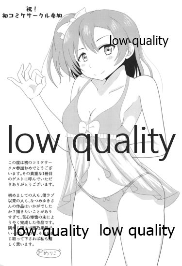 (C95) [おとうふパン。 (なつめゆき)] 伝える想いは穂乃果色 (ラブライブ!)