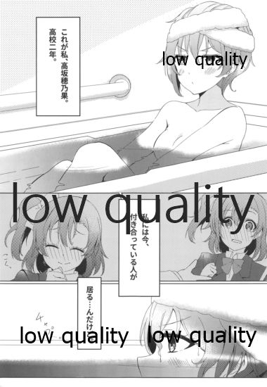 (C95) [おとうふパン。 (なつめゆき)] 伝える想いは穂乃果色 (ラブライブ!)