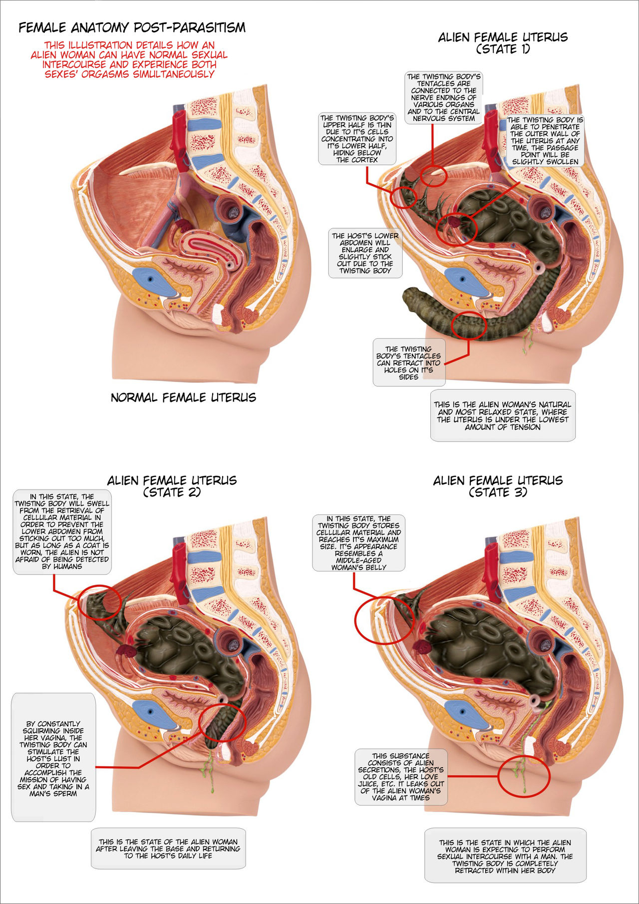 [红毛猪] 异形女郎 [英语翻译]