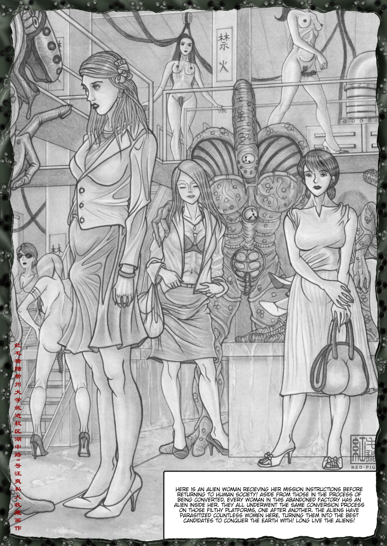 [红毛猪] 异形女郎 [英语翻译]