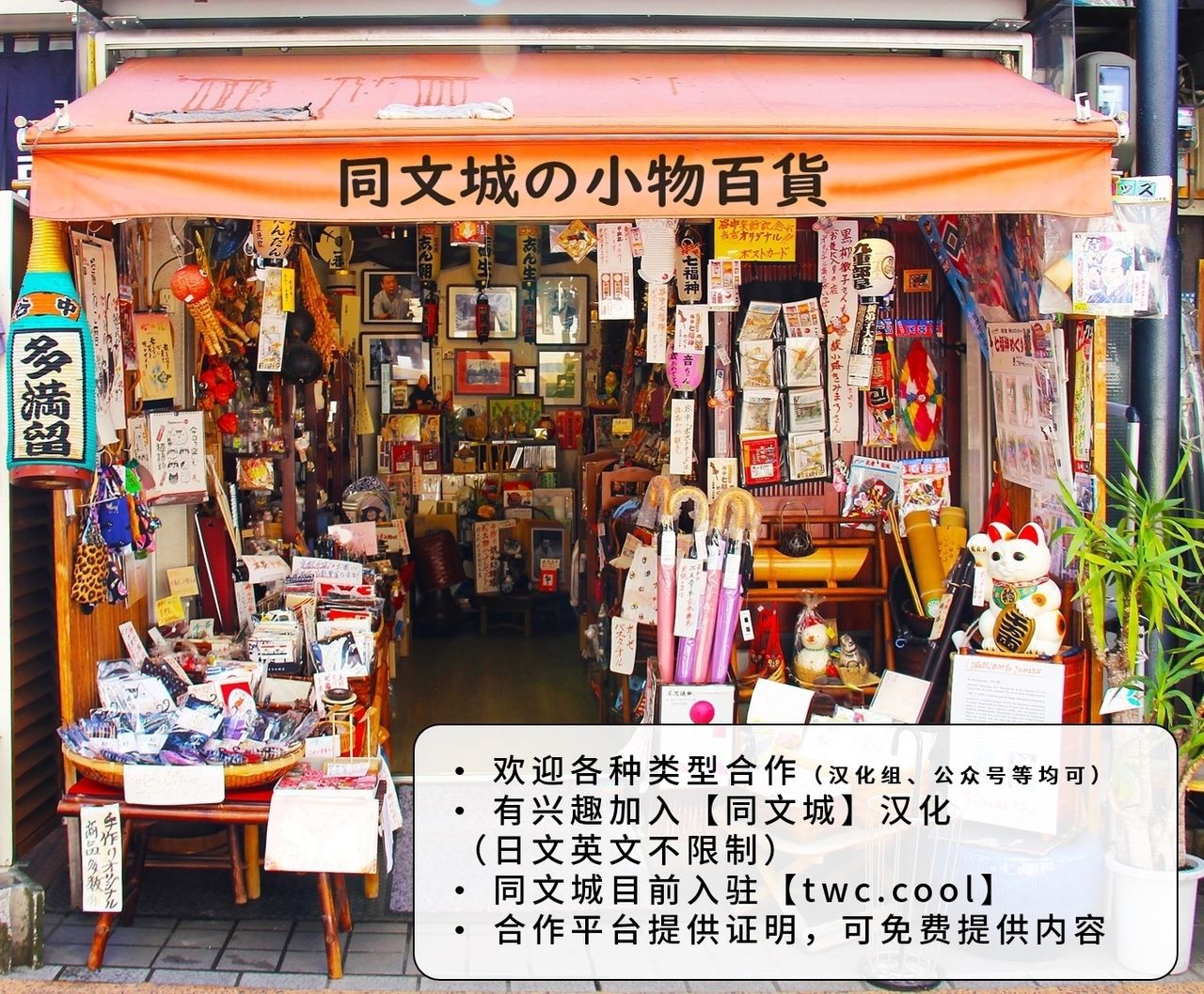 (C80) [Ebitendon (Torakichi)] BLISTER [中国翻訳]
