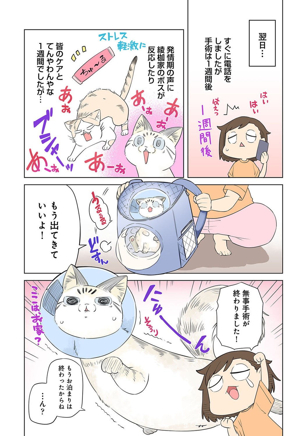 アナンガ・ランガ Vol. 75