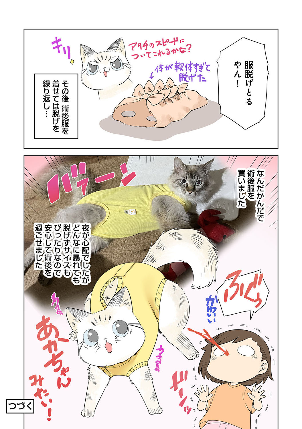 アナンガ・ランガ Vol. 75