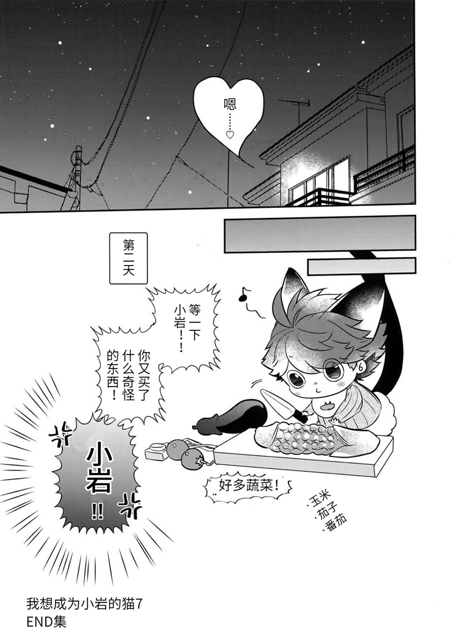 [ロトチカ (神使月)] 岩ちゃんのネコになりたい 7 (ハイキュー!!)[中国翻訳]