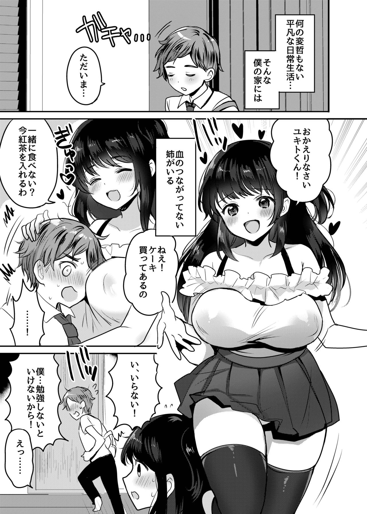 [めいめいこめい (めーすけ)] おねサキュ～お義姉ちゃんはどスケベサキュバス～ [DL版]