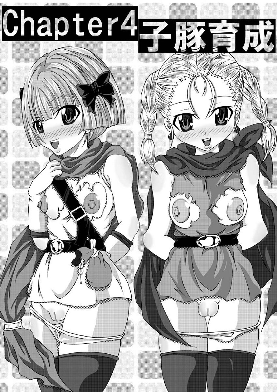 (サンクリ42) [Bitch牧場 (Bitch牧場)] 天空のビッチ妻 (ドラゴンクエストV 天空の花嫁)[中国翻訳]