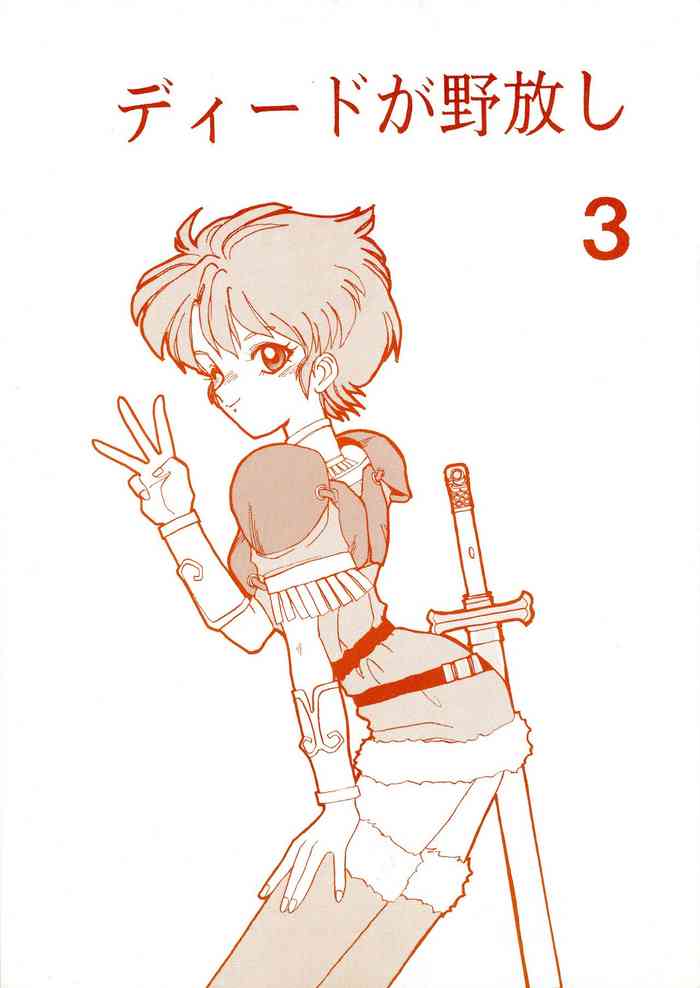 (C43) [ないとすとーかーず (SHAMP侍)] ディードが野放し3 (ロードス島戦記)