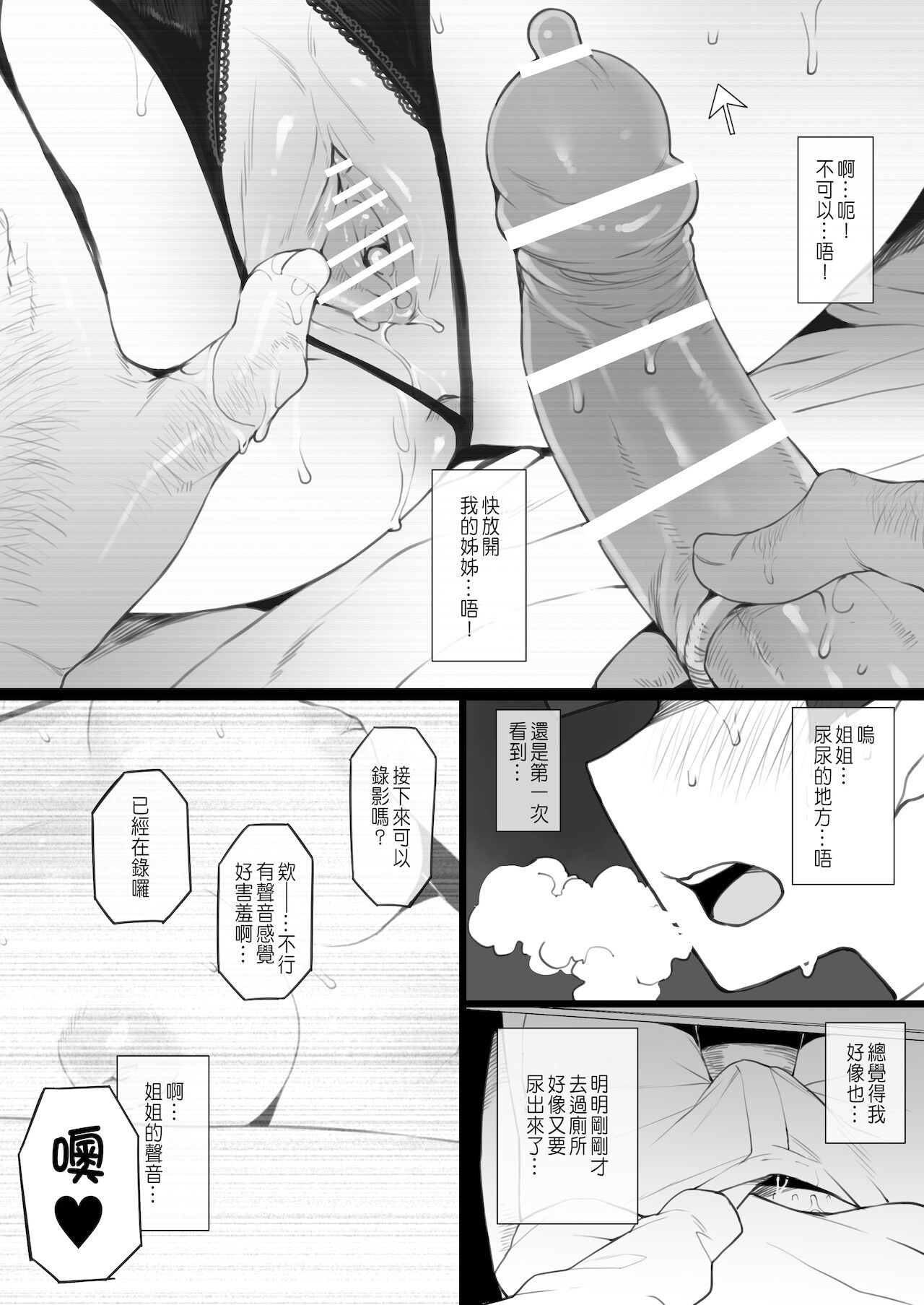 [テラスMC] 大好きなお姉ちゃんに借りたパソコンの中に…[CHINESE]