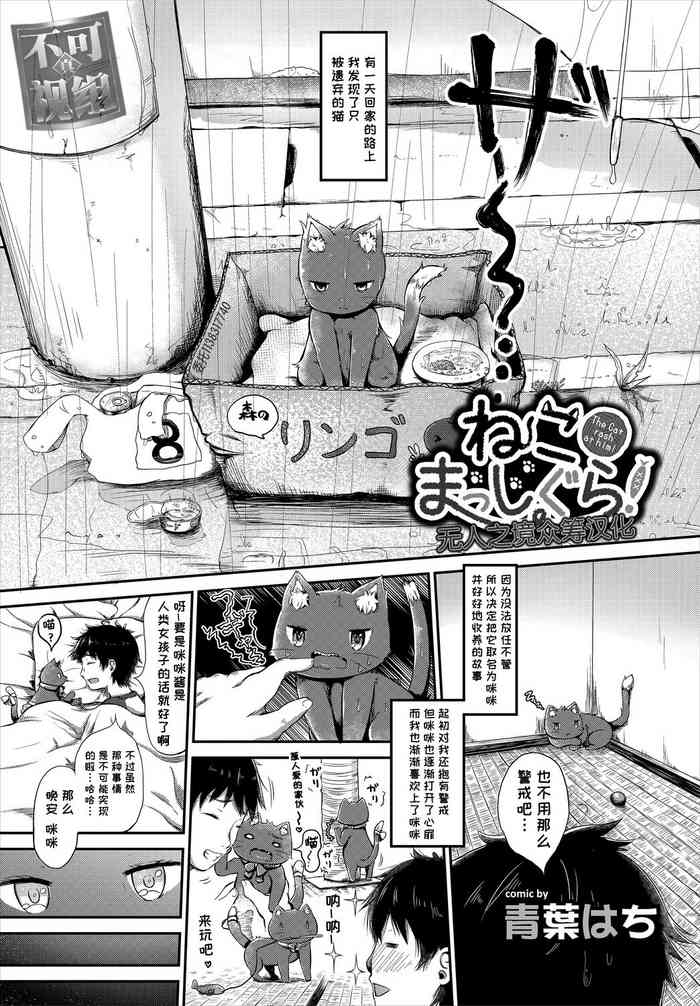 [青葉はち] ねこまっしぐら! (ケダモノ娘フレンズ その2) [中国翻訳]