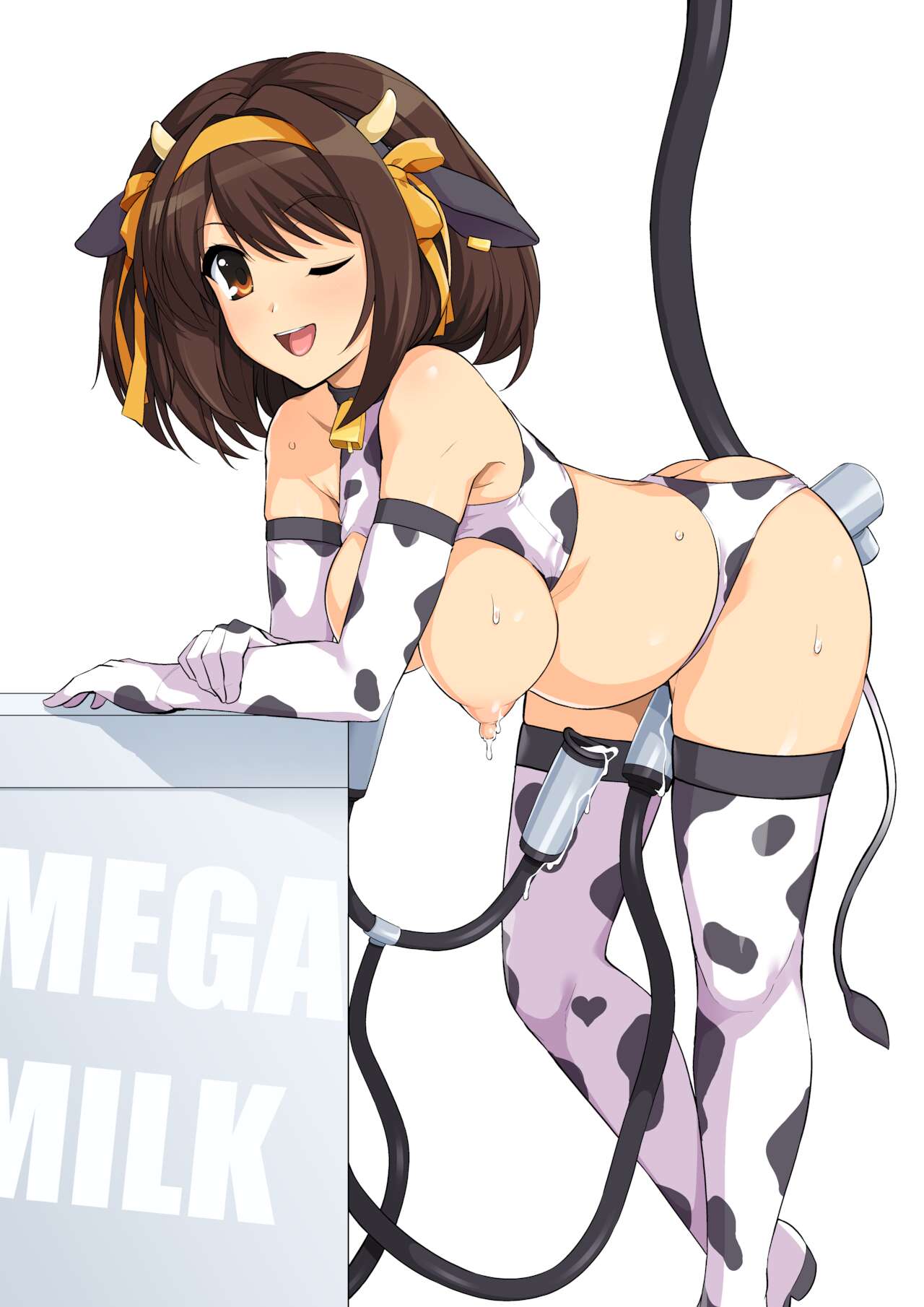 [ろいやるびっち (Haruhisky)] はるこす13 (涼宮ハルヒの憂鬱) [DL版]