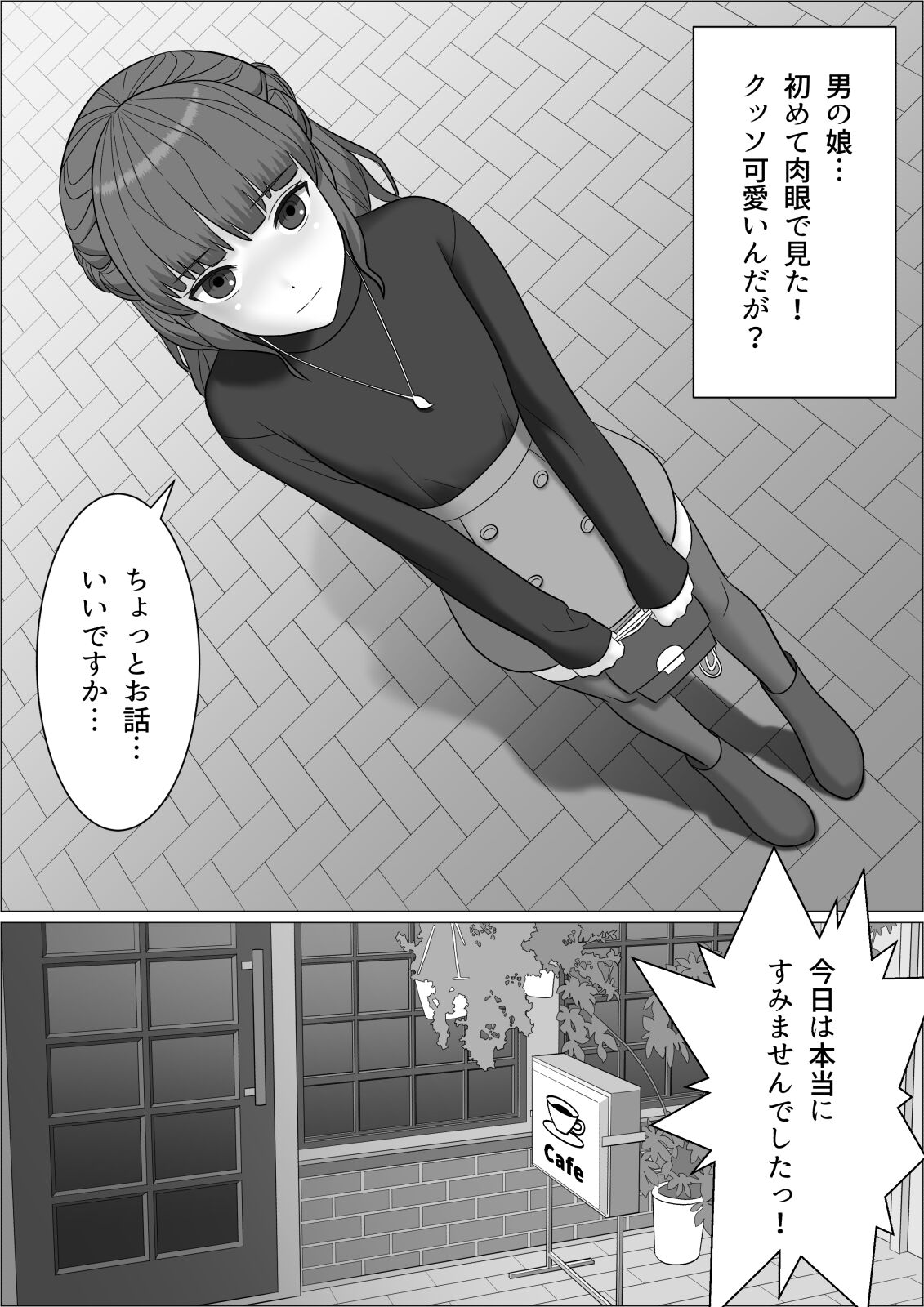 [屁理屈流通センター] チンポレディ2 ふたなり腐女子と男の娘