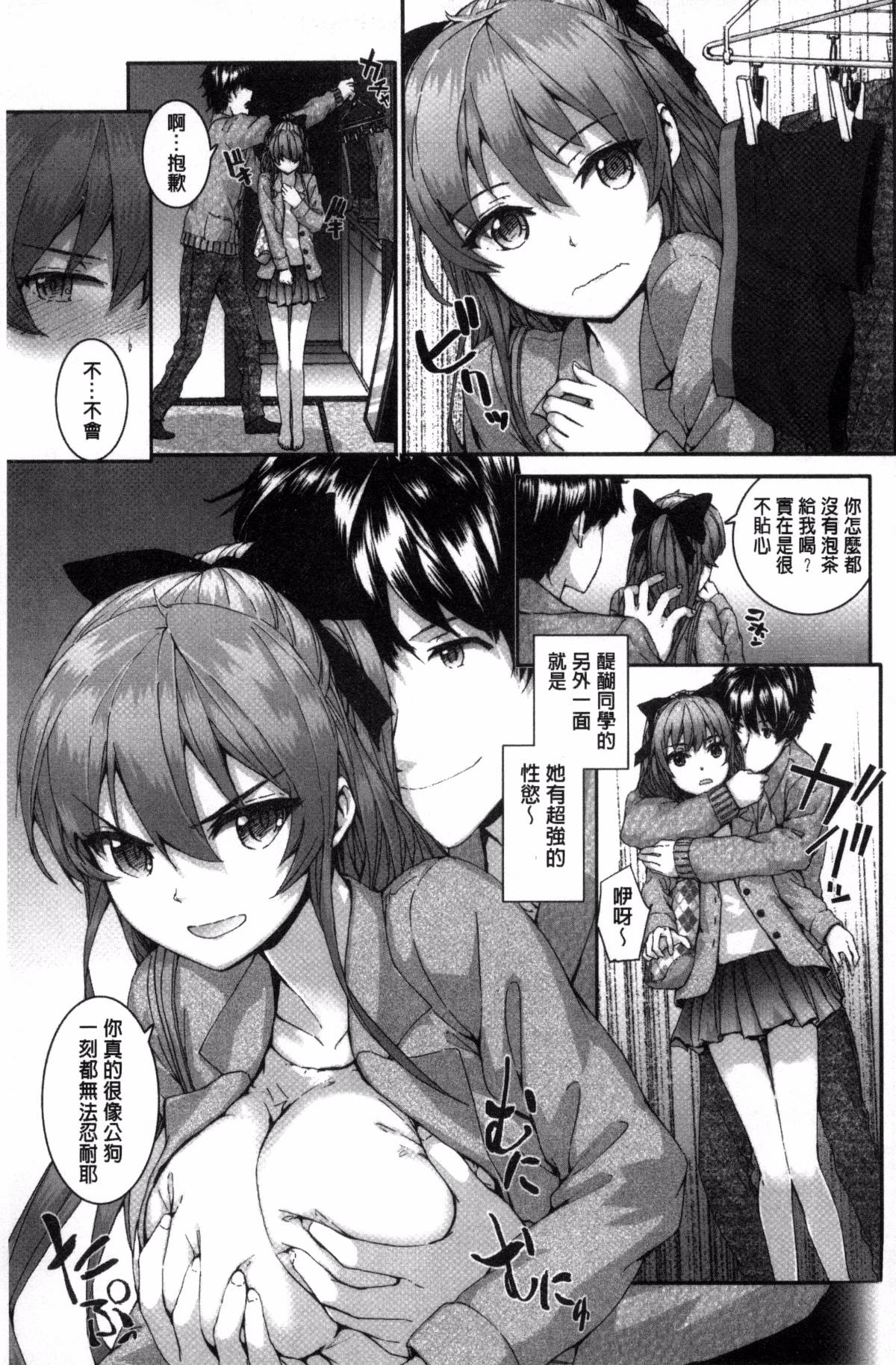 [スミヤ] Bitches Plan [ 風與uuz漢化]