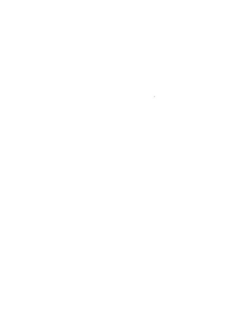 [朽木ノ洞 (エンマコオロギ)] ヴィータデトネ (魔法少女リリカルなのは) [DL版]