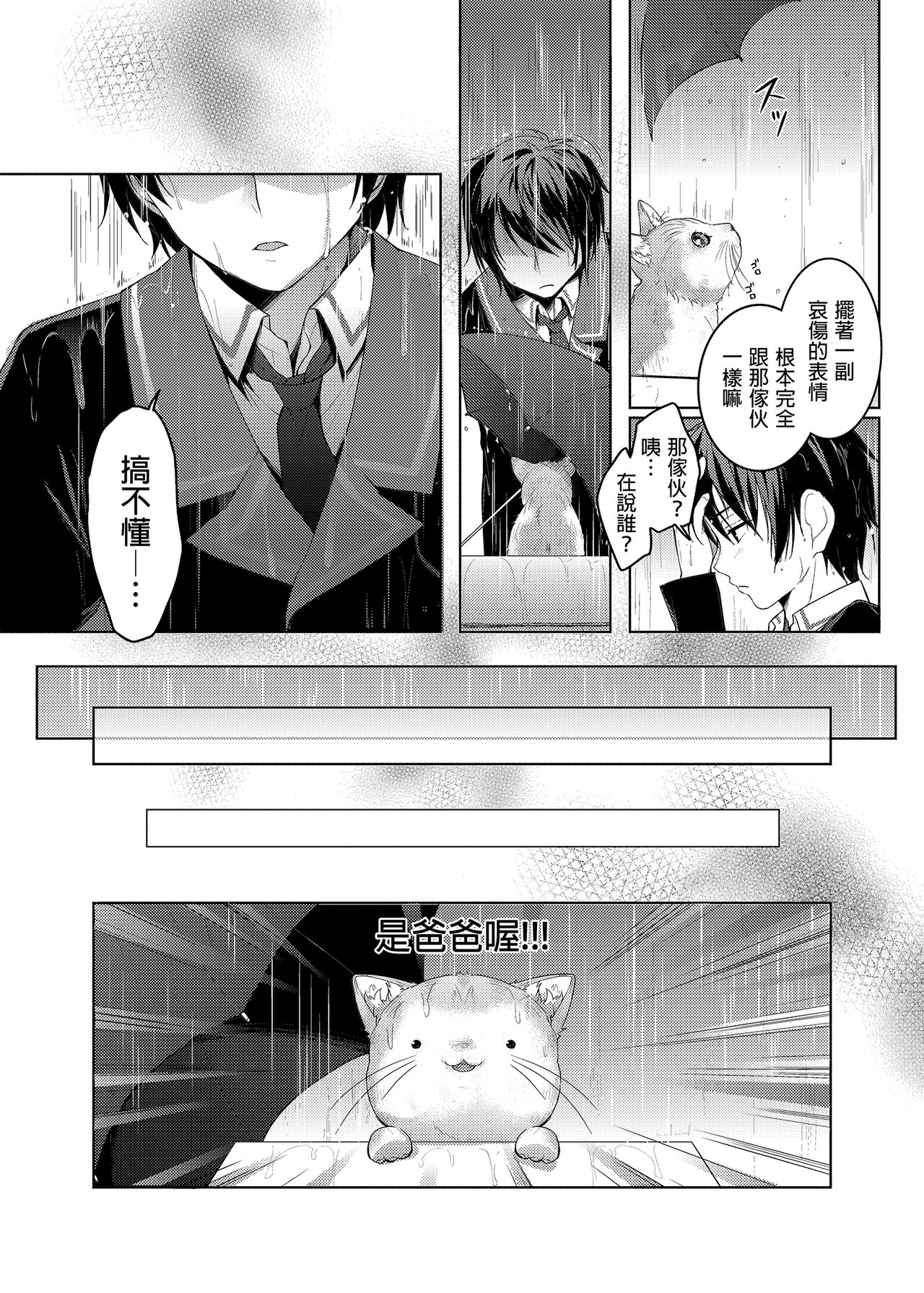 [きのこのみ (konomi)] ニャンコロジ総集編 [中国翻訳] [DL版]