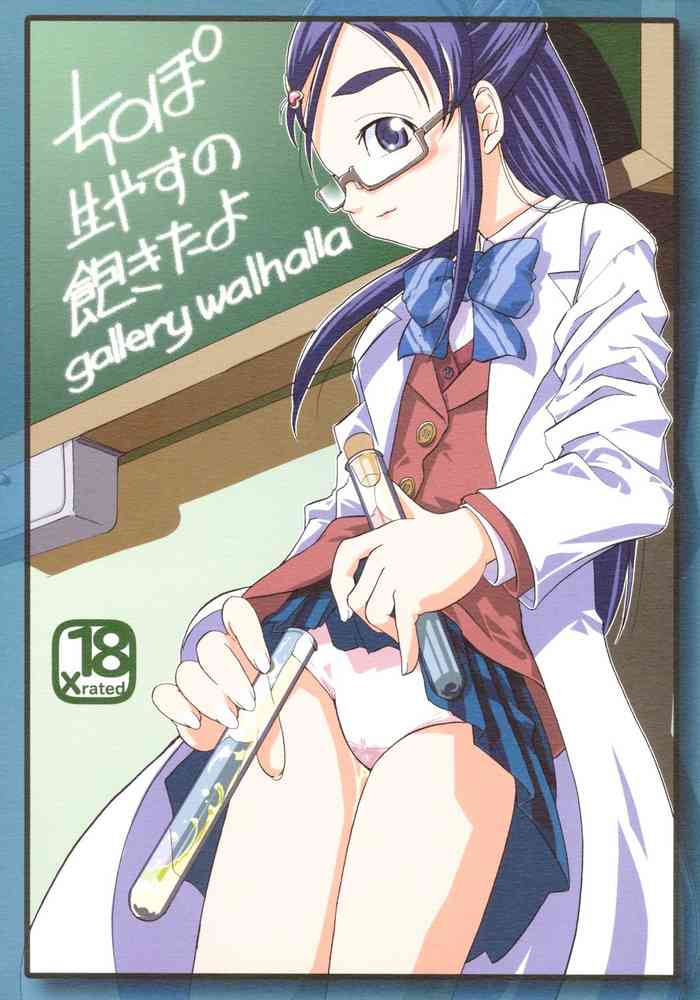 (サンクリ27) [Gallery Walhalla (庚)] ち○ぽ生やすの飽きたよ (ふたりはプリキュア)