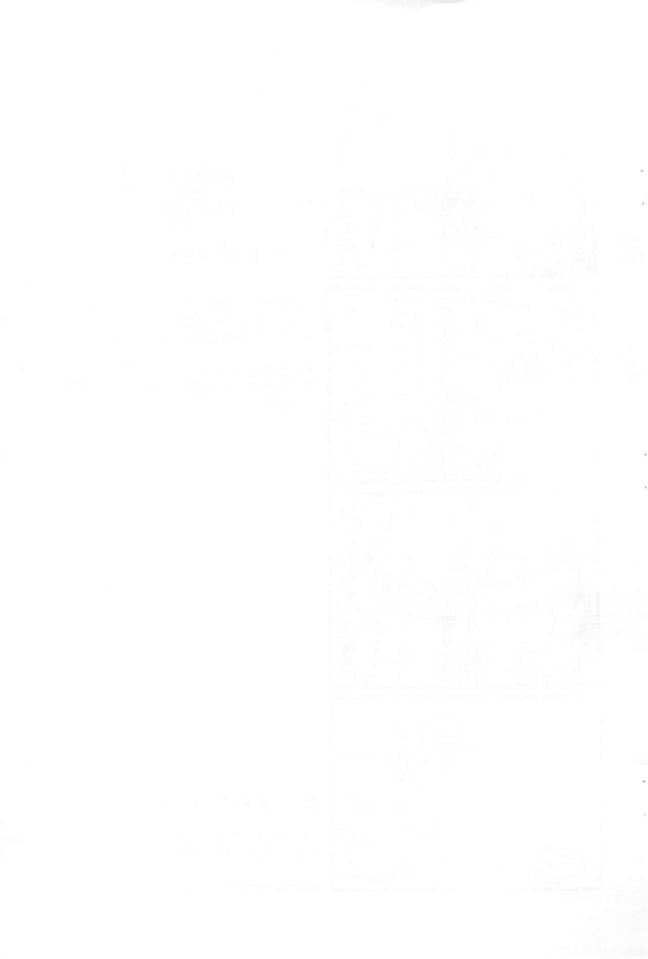 (コミティア138) [FANCY CUBE (稚乃ふみゆ)] サキュドルやってみた