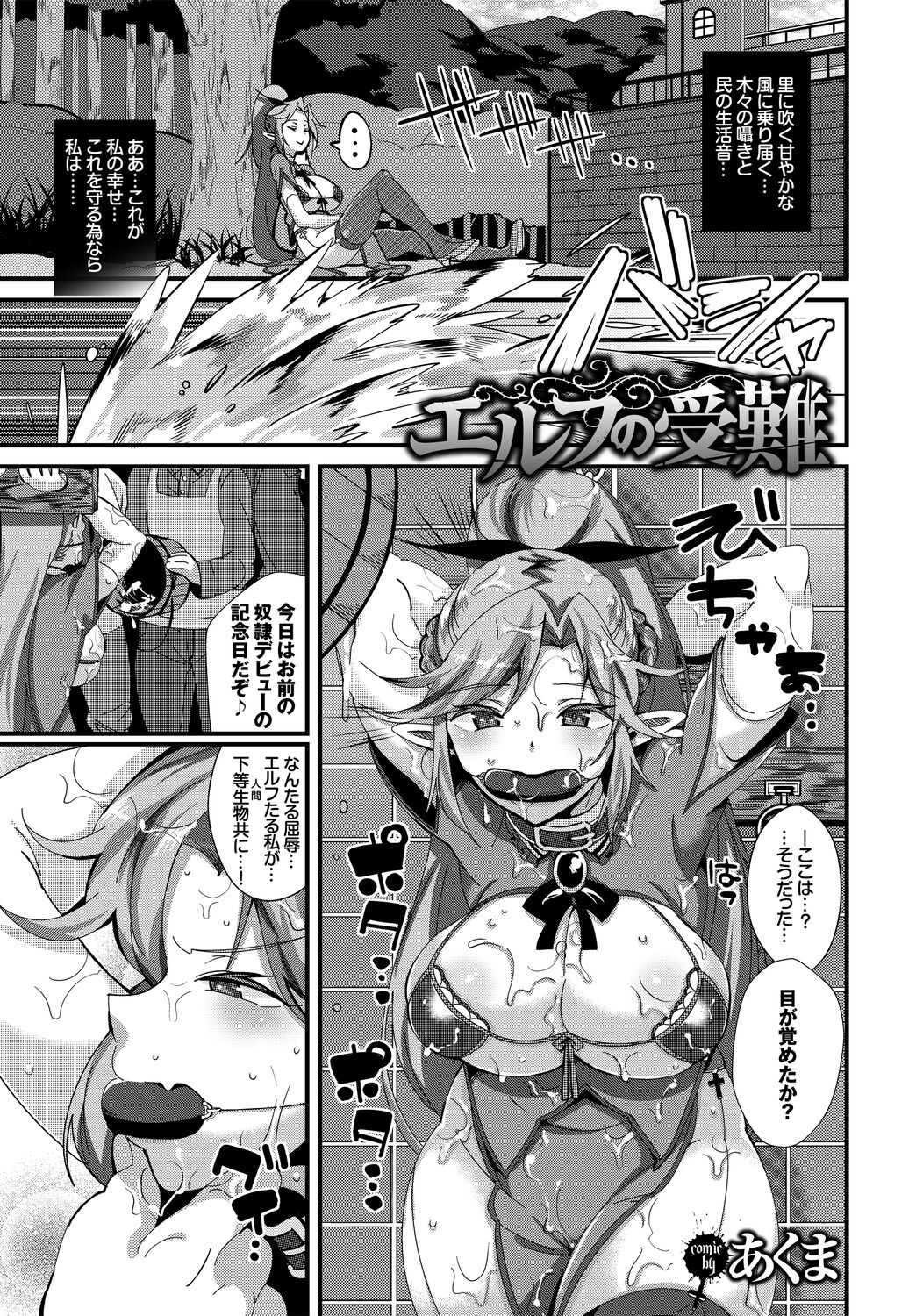 フェチズム VOL.5〜ファンタジー陵辱編〜