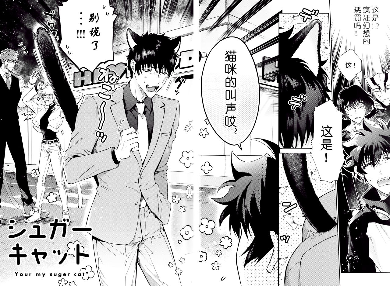 (BLOODY ZONE 14) [ｚｍ (こだか創)] シュガーキャット (血界戦線) [中国翻訳]