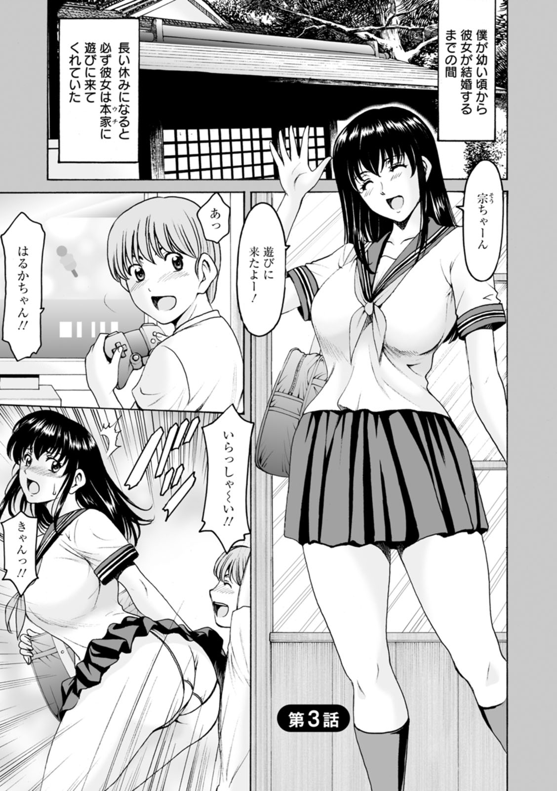 [星野竜一] 洗脳ネトラレ妻 はるか [DL版]