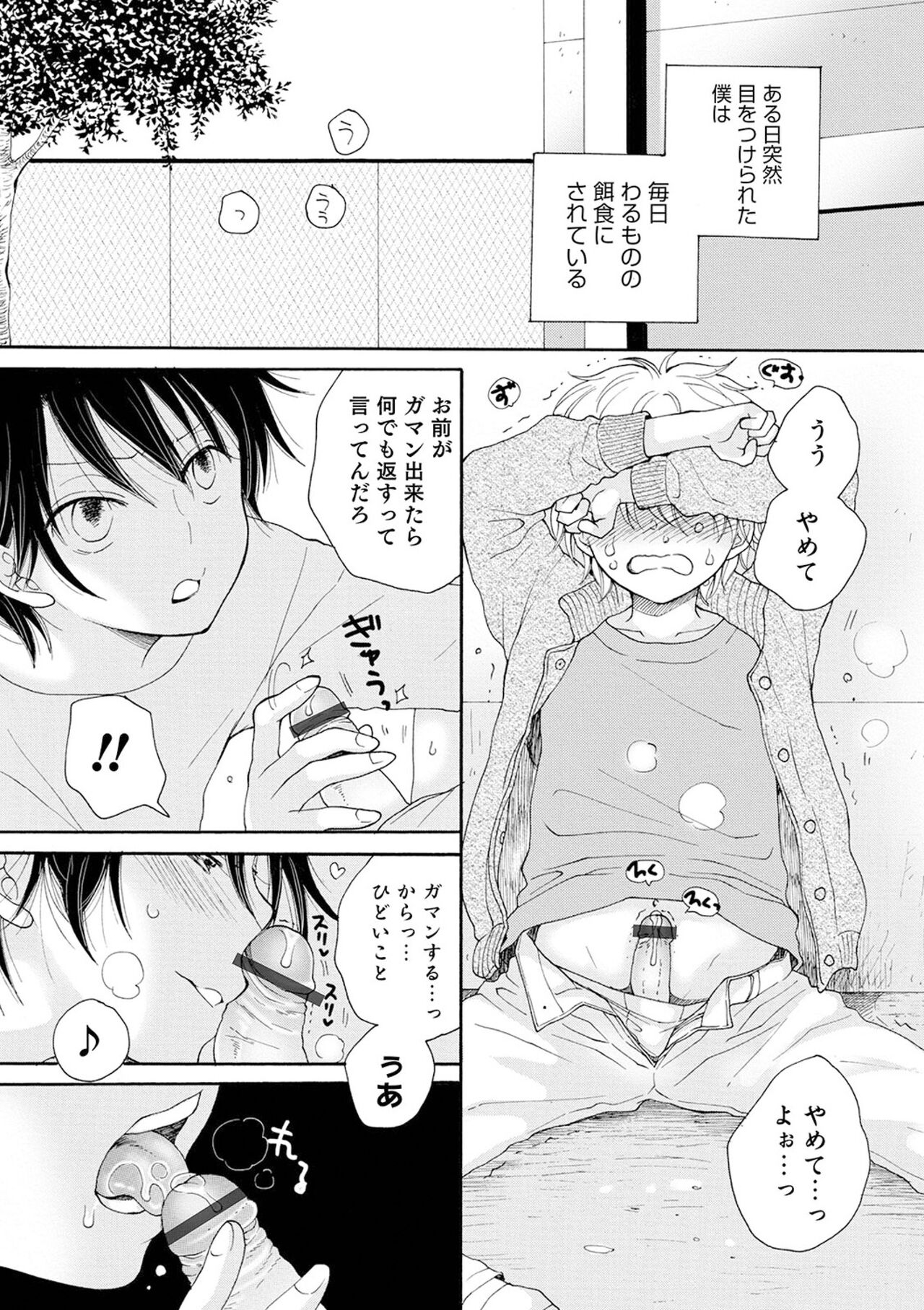 (成年コミック) [井ノ本リカ子 盈] セイ×ショウネン [DL版]