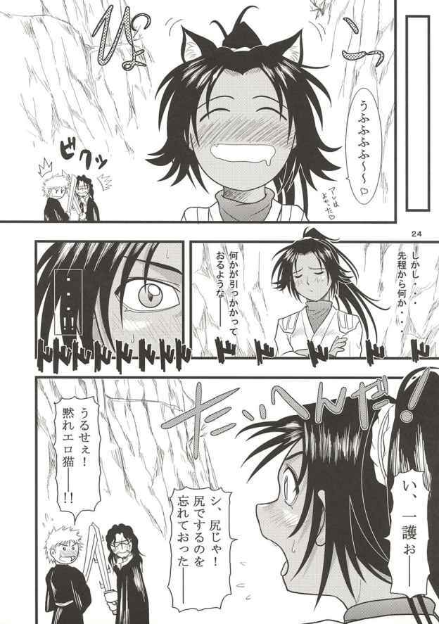 Yoruichi Nyan No Hon 2