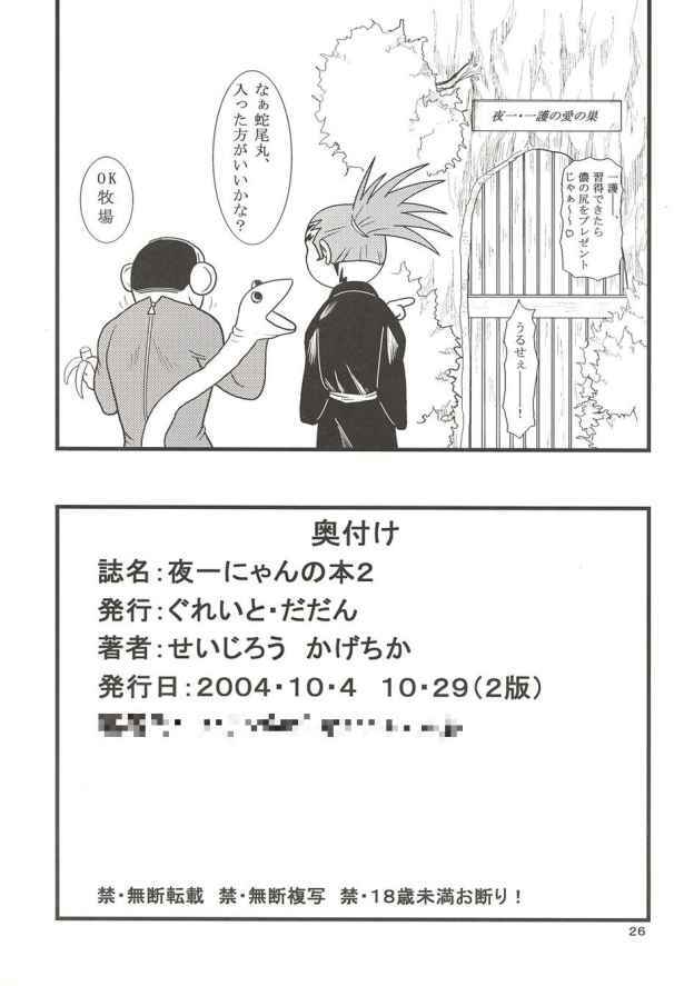 Yoruichi Nyan No Hon 2